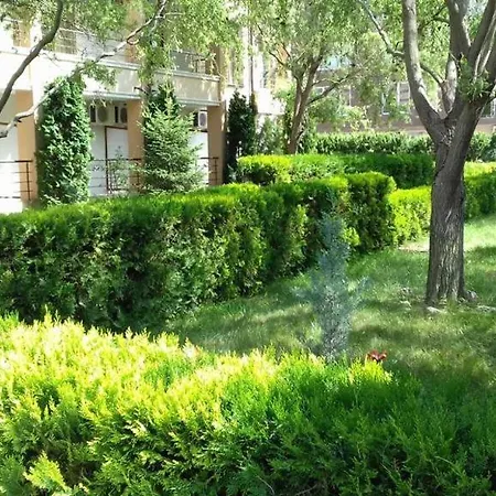 아파트 Flat Near The Sea *